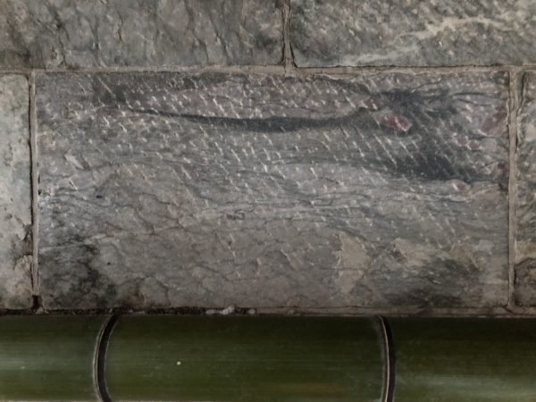 三峯神社 白い氣守 龍神