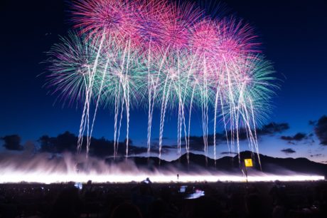 花火pic