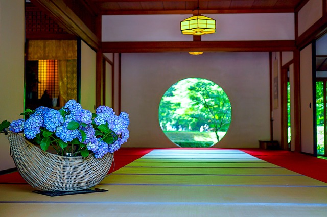 明月院　あじさい