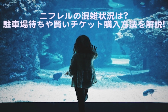 ニフレル アイキャッチ画像
