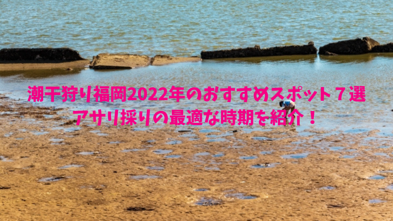 潮干狩り福岡2022年のおすすめスポット７選とアサリ採りの最適な時期を紹介！
